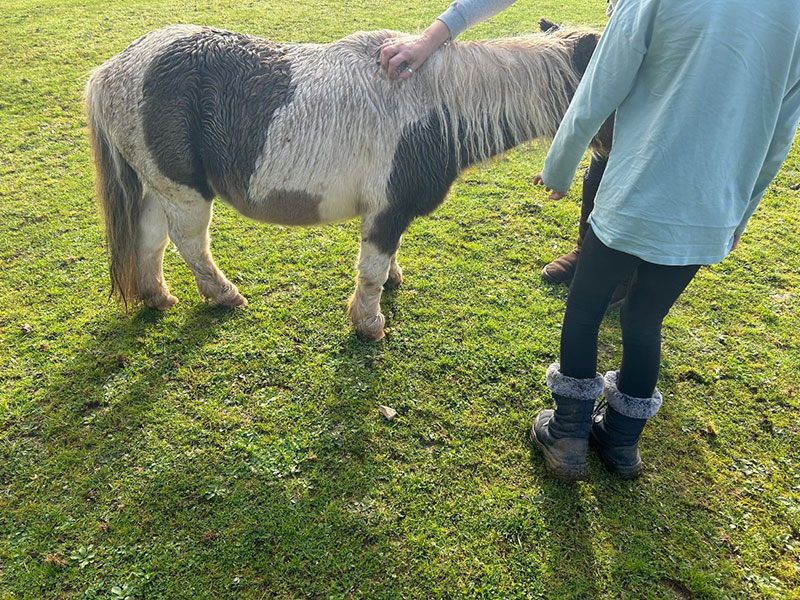 hawthorns farm